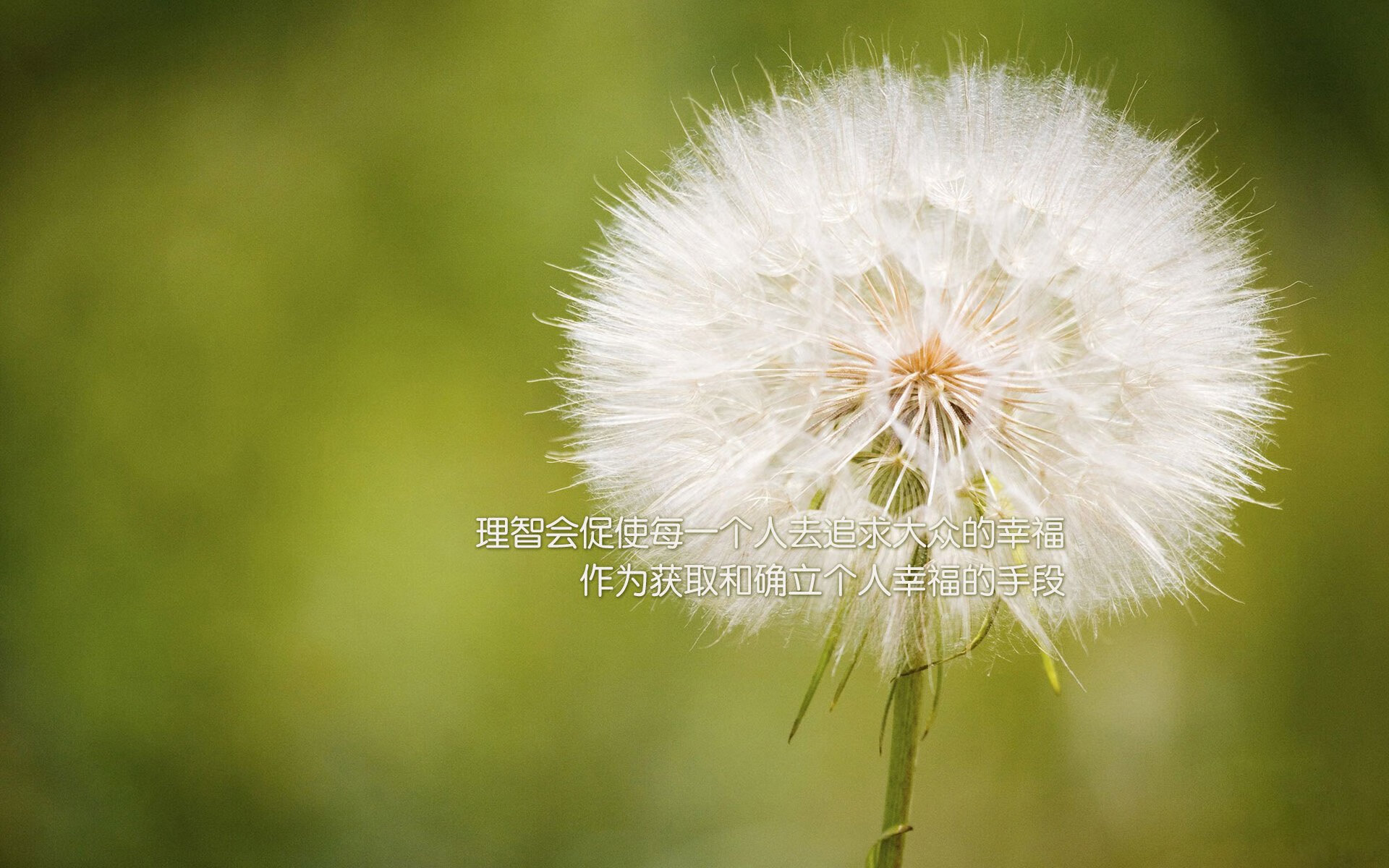 赛道与球场，跨界统治的艺术